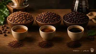 تصویر مقاله تفاوت رست روشن، متوسط و تیره قهوه