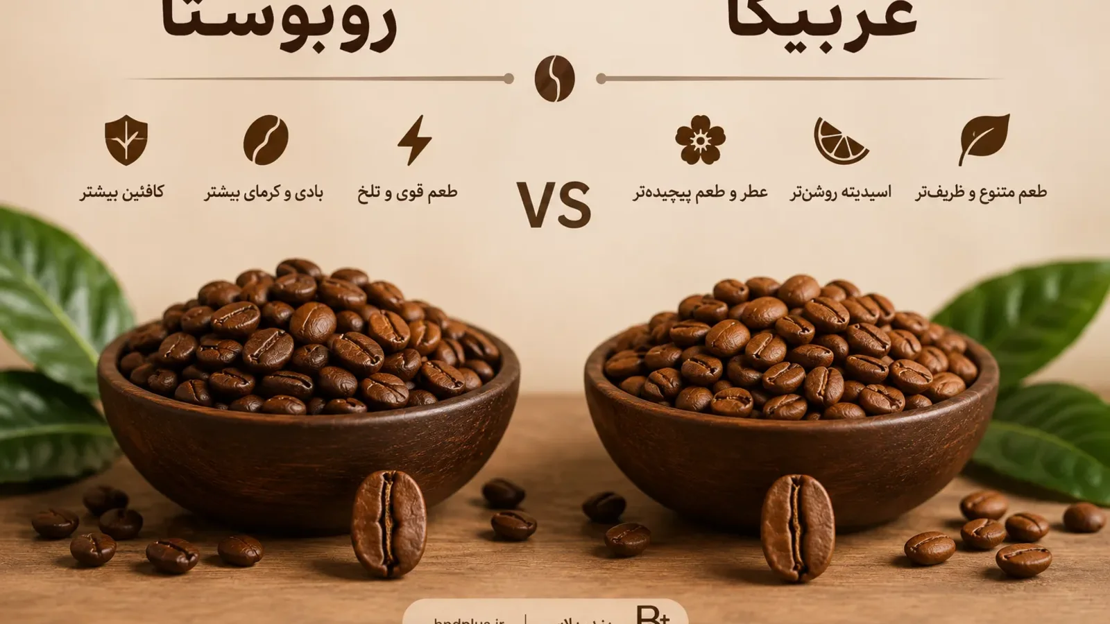 تصویر مقاله تفاوت قهوه عربیکا و روبوستا