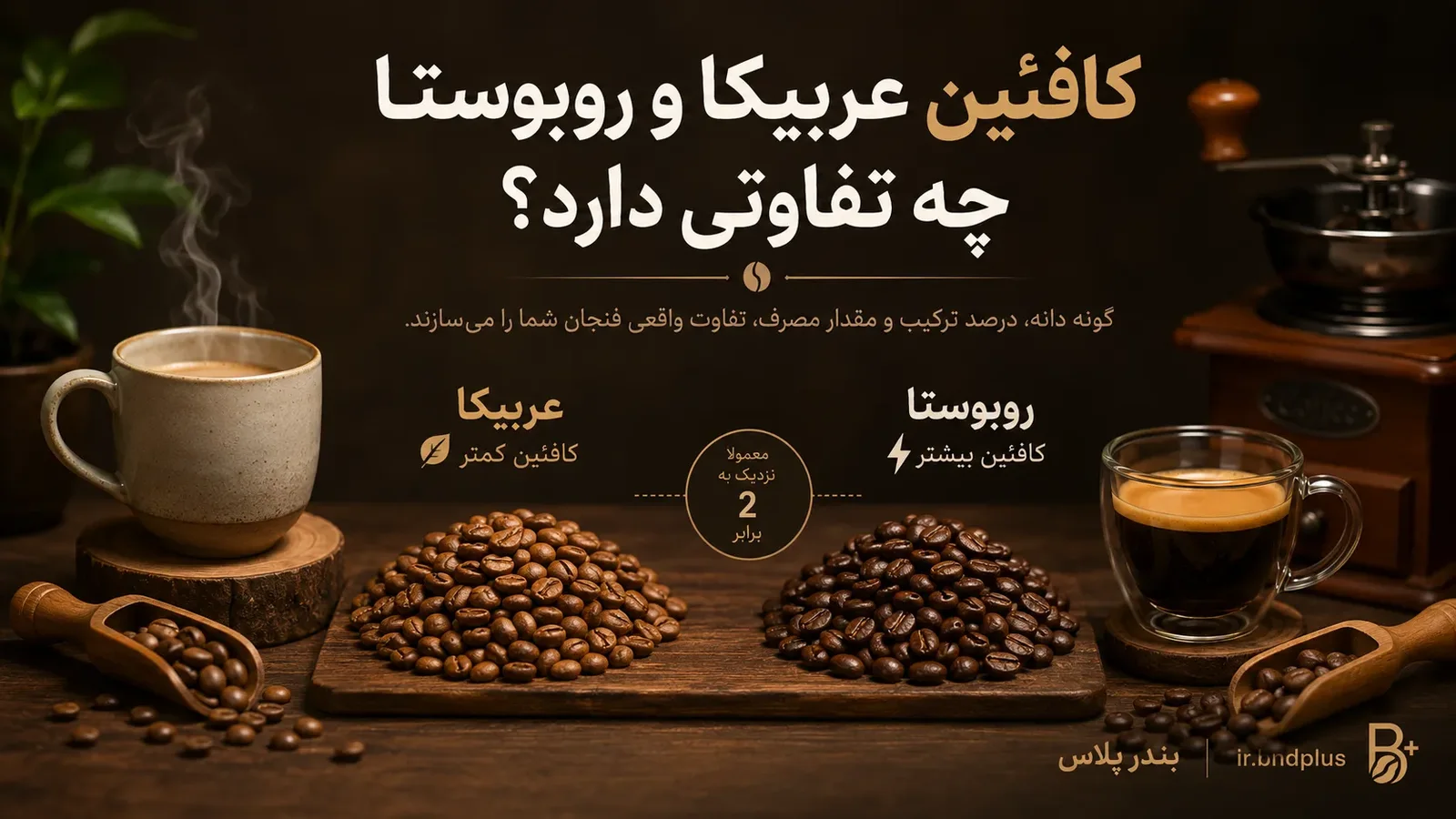 تصویر مقاله کافئین عربیکا و روبوستا چه تفاوتی دارد؟