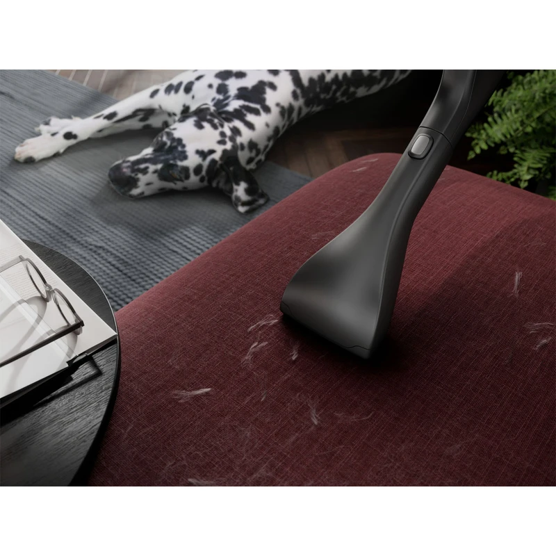 جاروبرقی آاگ مدل AB81A2DG